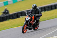PJ-Motorsport-2019;anglesey-no-limits-trackday;anglesey-photographs;anglesey-trackday-photographs;enduro-digital-images;event-digital-images;eventdigitalimages;no-limits-trackdays;peter-wileman-photography;racing-digital-images;trac-mon;trackday-digital-images;trackday-photos;ty-croes